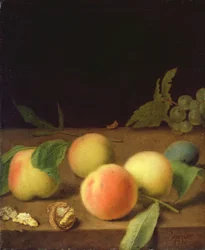 Nature morte de fruits, 1730